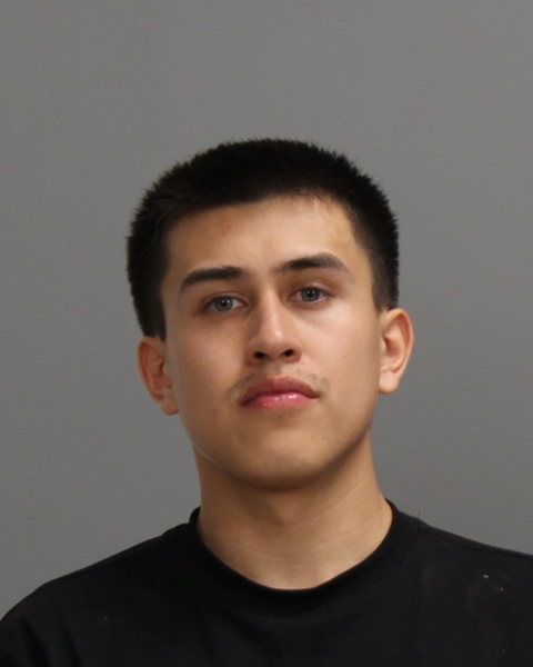 CASTILLO, SEAN CARMELLO arrested by Texas A&M University Police