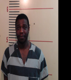 HILL, RHAMEL SHEA booking photo