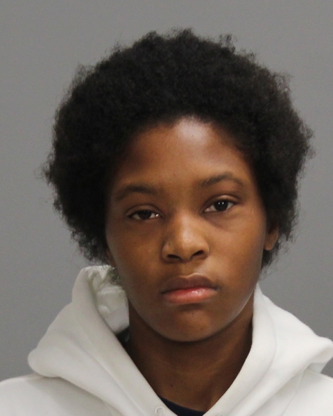 FRANKLIN, TAMERA UNIQUE booking photo