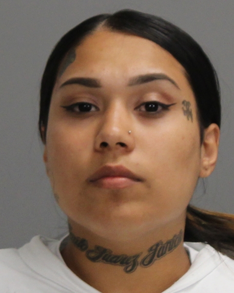 HERNANDEZ, ELIDA GUADALUPE arrested by College Station Police Department