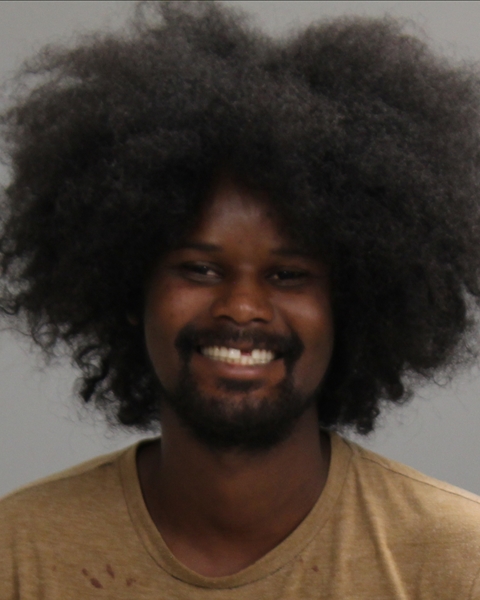 ALI, ABDI IBRHIM arrested by Bryan Police Department