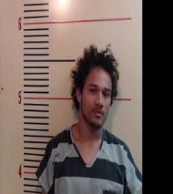 GRAY, MATTHEW THOMAS booking photo