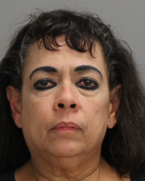 DIAZ-GONZALEZ, CARMEN ROSA booking photo