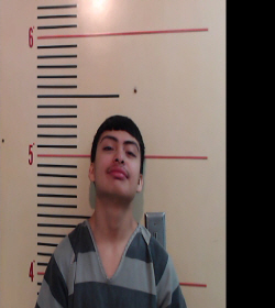 Hernandez, John David arrested by Department of Public Safety