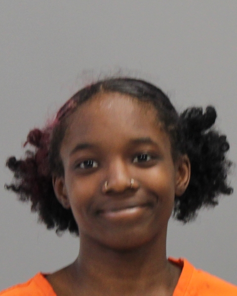 CLARK, PARIS DANYLLE arrested by Bryan Police Department