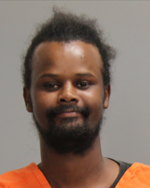 ALI, ABDI IBRHIM arrested by Bryan Police Department