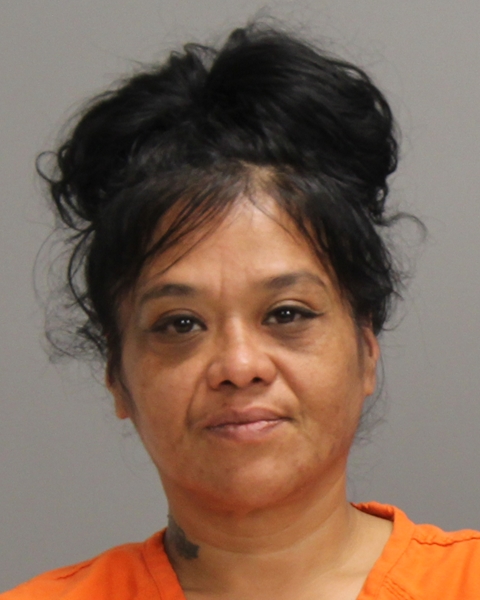 DELAGARZA, JOYCE JANE arrested by Bryan Police Department