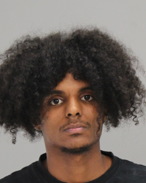 HAMMOND, MALIK DSHAWN booking photo