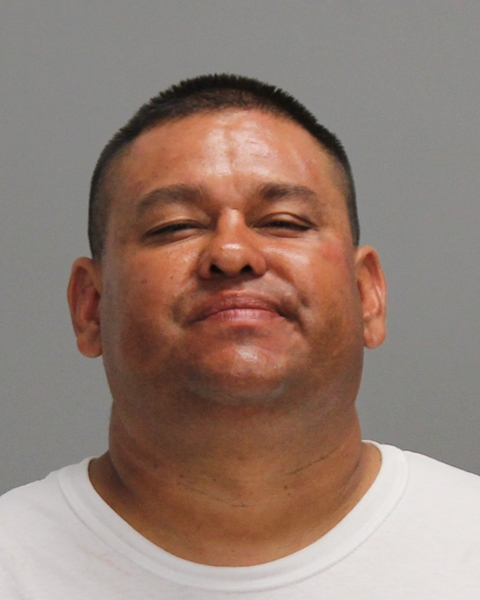 DELAGARZA, ROY ANTHONY, Jr arrested by Bryan Police Department