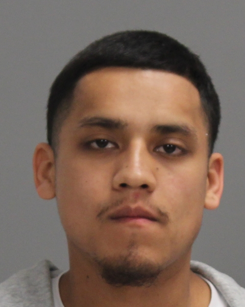 DE LEON, ARES ULYSESS booking photo