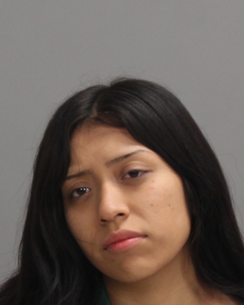 GONZALEZ, SHERLYN arrested by Bryan Police Department