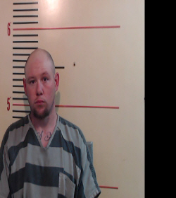 FRANKLIN, BRENT WADE booking photo