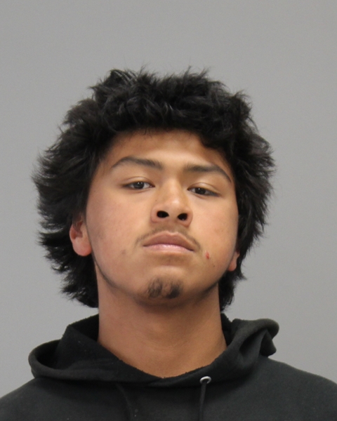 HERNANDEZ, ANDREW arrested by College Station Police Department