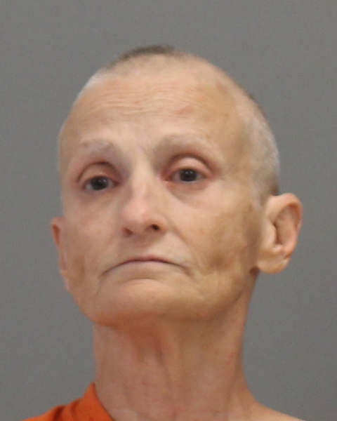 JOHNSON, LINDA KAY arrested by Bryan Police Department