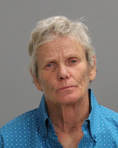 GRAVES, MARY ELIZABETH arrested by Bryan Police Department