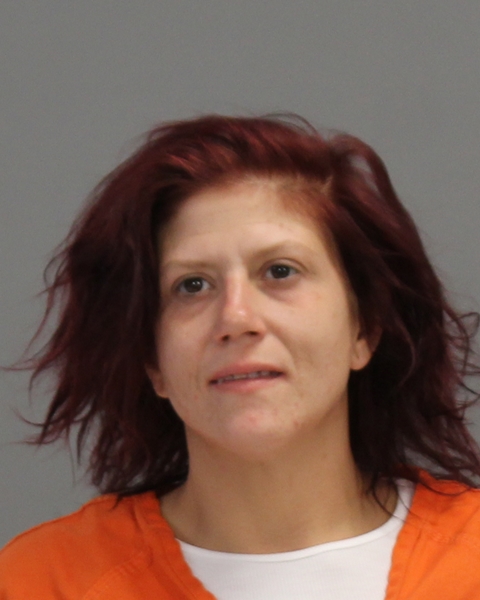 DIXON, ELIZABETH ANN arrested by Bryan Police Department