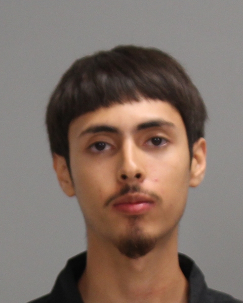 MARTINEZ TIRADO, GEORGE MIKE booking photo