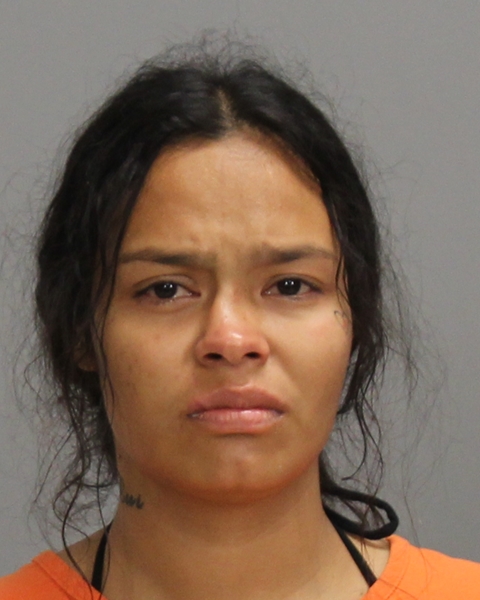 RICARTE, CYNTHIA RUTH booking photo