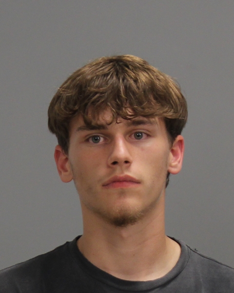 BREWER, NICHOLAS RYAN booking photo