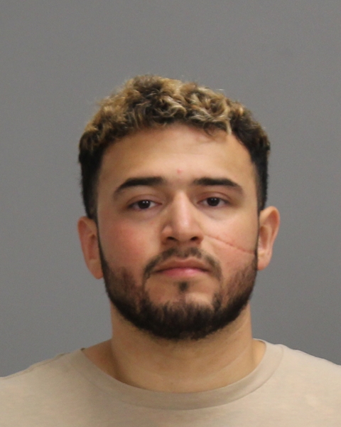 LEYVA, NOE ANTONIO booking photo