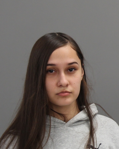 PEREZ, ALYSSA ANN arrested by College Station Police Department