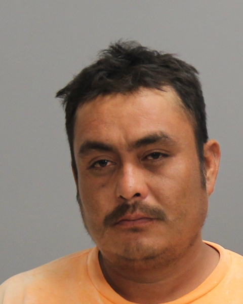 ALVARES, ANTONIO arrested by Bryan Police Department