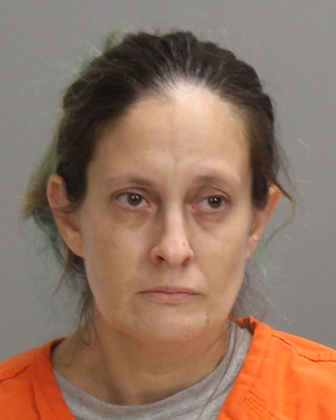 LADD, LYNETTE RACHELLE arrested by Bryan Police Department