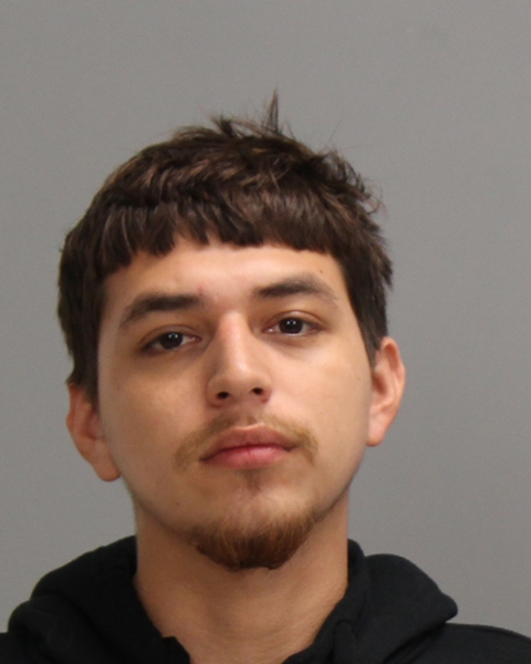 GUITRON, ISAAC DOINICIO booking photo