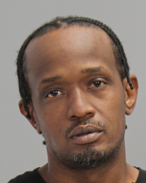 MCGEE, ROBERT V booking photo