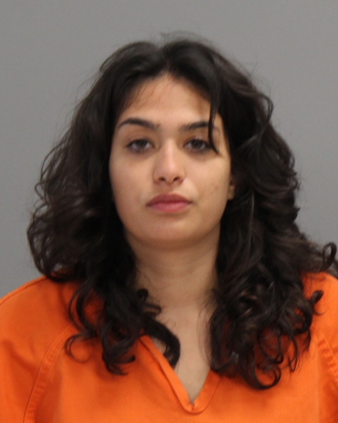 VALES RIVERA, NATALIA SOFIA booking photo