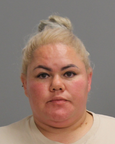 BADILLO, LAURA ARELLY booking photo