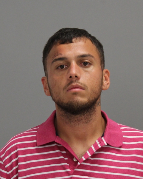 DE MOYA, RAMON MARTIN booking photo