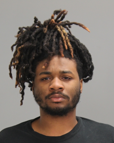 LEE, DREMARION JAYSHAWN booking photo