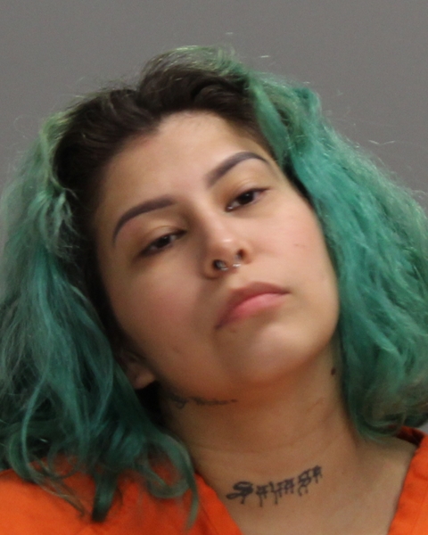 ZAVALA, CLAUDIA EILEEN booking photo