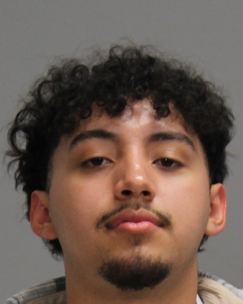 ZALDIVAR, DANIEL booking photo