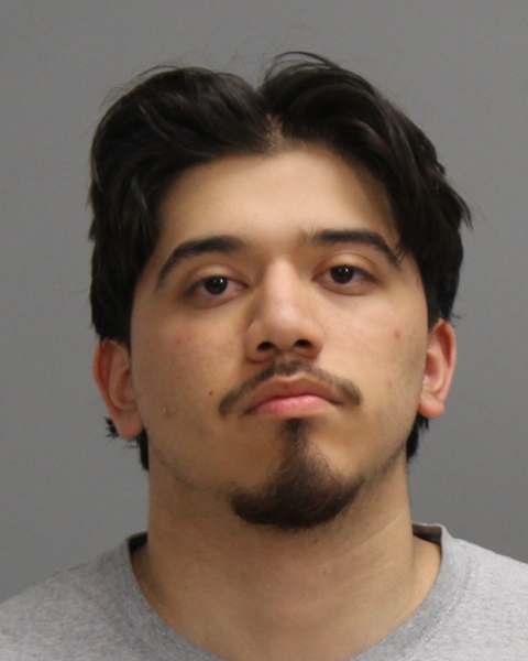 Martinez, Diego Samuel booking photo