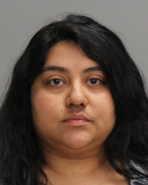 ALVAREZ, GENESIS arrested by Brazos County Sheriff’s Office