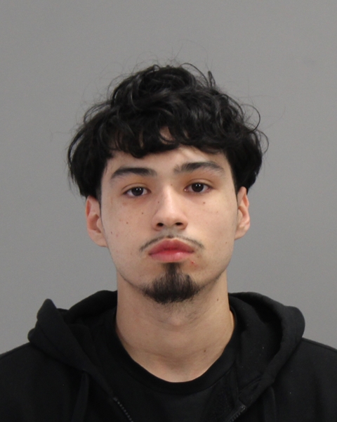 PRUNEDA, GABRIEL DAVID booking photo