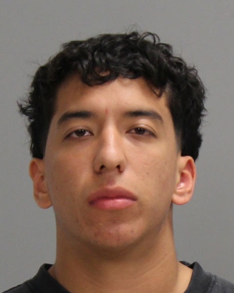 ALARCON, ANDRICK booking photo