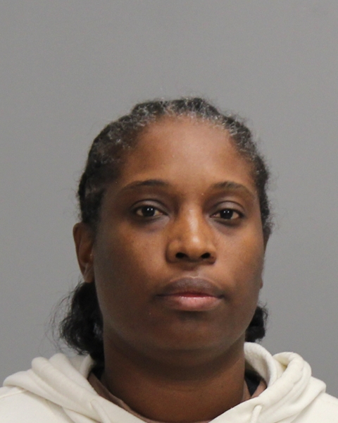 BRANTLEY, ASHLEY NICOLE booking photo