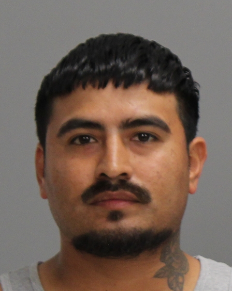 VANEGAS, MARIO EUFEMIO booking photo