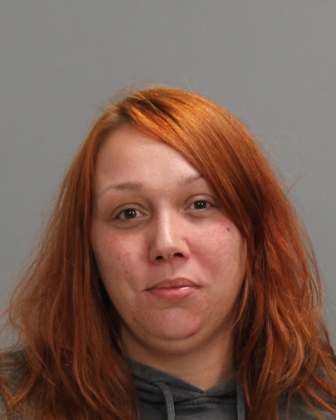 Lindholm, Allison Terra booking photo