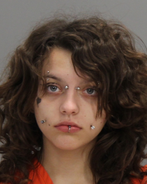 PERKINS, SAMARIAH MARCYA booking photo