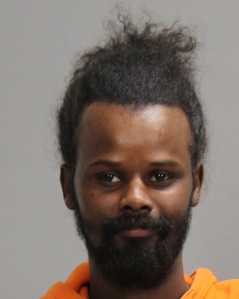 ALI, ABDI IBRHIM arrested by Bryan Police Department