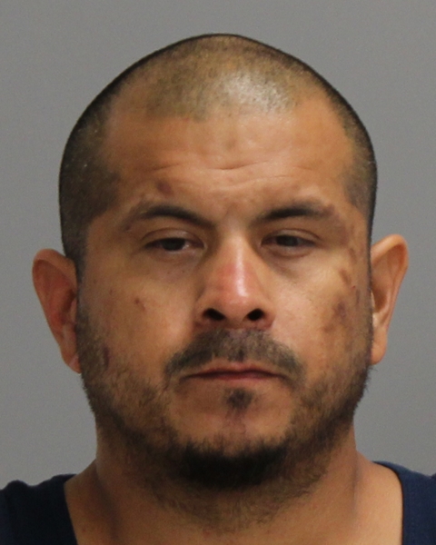 REYES, FERNANDO MIGUEL booking photo