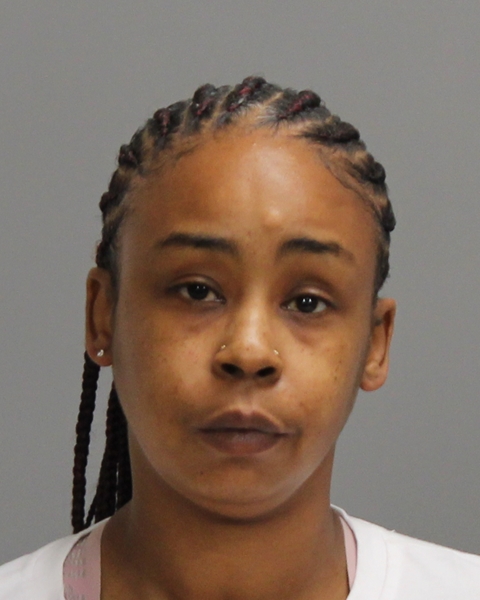 ANDERSON, ASHLEY VICTORIA booking photo
