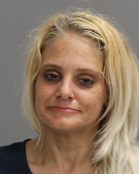 WALL, HOLLY MICHELLE booking photo