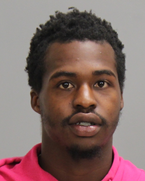 HUDGINS, DAELON DAESEAN booking photo