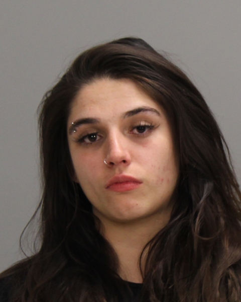 SCHULTZ, KRISTON ANN booking photo