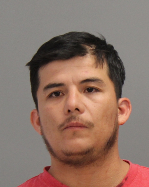 FLORES, EMILIO ENRIQUE booking photo